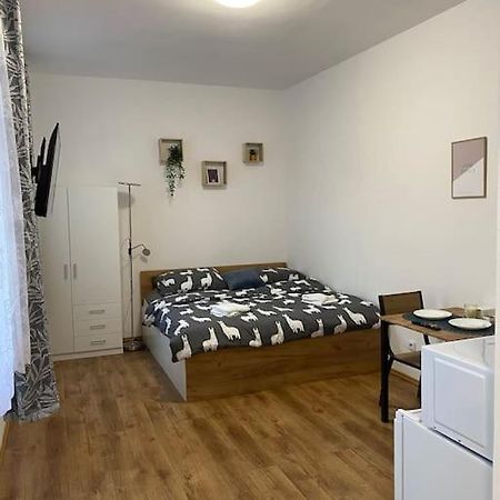 Cozy 1 Bedroom Studio In The Center Of Pilsen Экстерьер фото